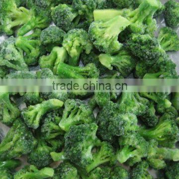 fresh IQF broccoli