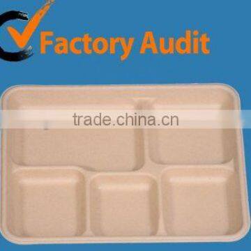 Hot Sales Disposable Biodegradable Pulp Tray