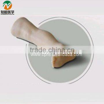 Child leg bone marrow puncture model BIX-FS6