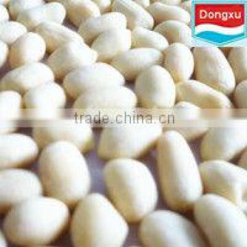 bulk organic blanched peanut kernel