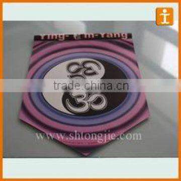 PVC(PE) Buntings/triangle Pennant String Flag,triangle Flag String photo-2