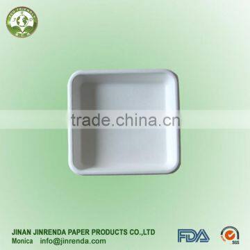 Disposable Russia Square plate