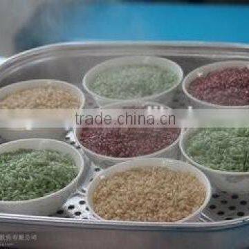 High Quality Artificial/Nutritional rice production line