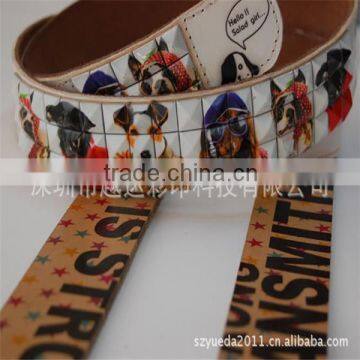 Low cost high resolution uv led digital print belt