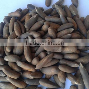 Pine nuts in shell , Cheap Bulk Pine nuts , Pakistan Long Pine nuts , Raw Pine nuts , Roasted Pine nuts , Chilgoza , Chillgoza