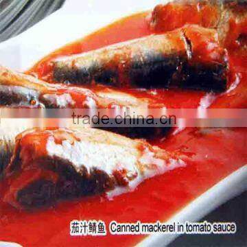 Canned mackerel in tomato sauce