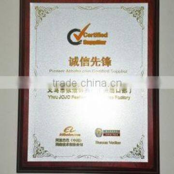 Pioneer Alibaba.com Certified Supplier