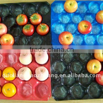 SGS/Food Grade Packing Food Tray