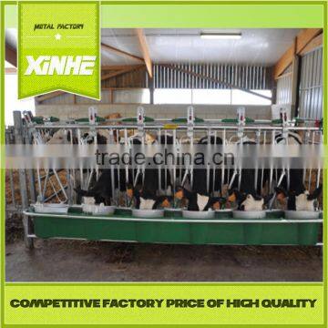 Excellent quality and reasonable price 10ft hot dip galvanized dairy cow headlock