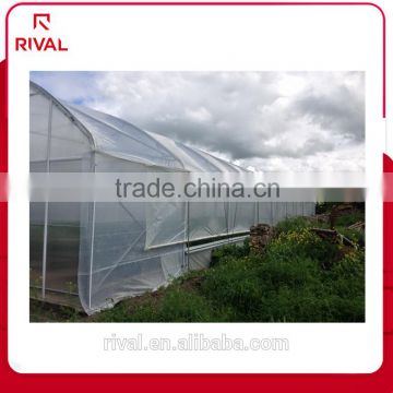 Factory price green house plastic clear covering film for farming