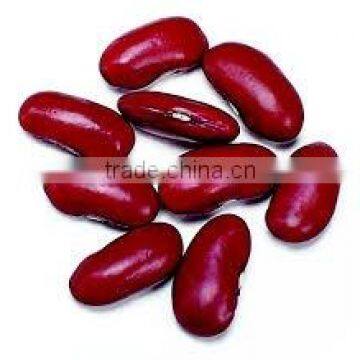 CHINA Red Kidney Beans With Excellent QualityI (hot Sale)