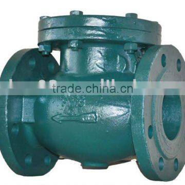 Swing type check valve