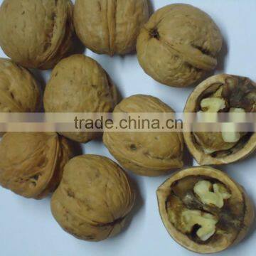 Walnut in Shell Size 32 mm Superior Grade