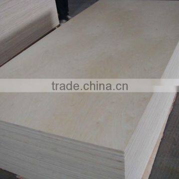 birch plywood