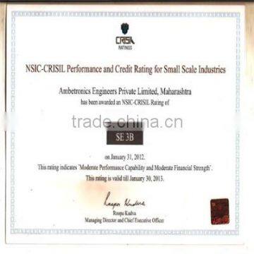 CRISIL Certificate