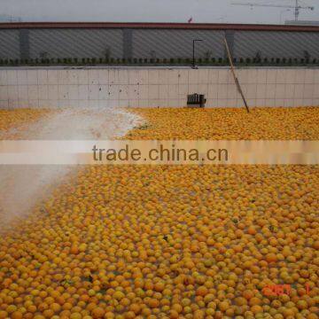 citrus juice processing line orange juice processing equipment