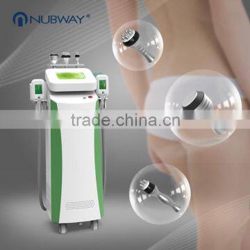 Cellulite Reduction Fat Freeze Cryolipolysis Machine For Sale Cryo Lipolysis Slimming Machine Improve Blood Circulation photo-2