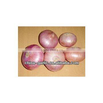 Fresh Small Onion ( low price)