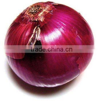 chinese fresh onion