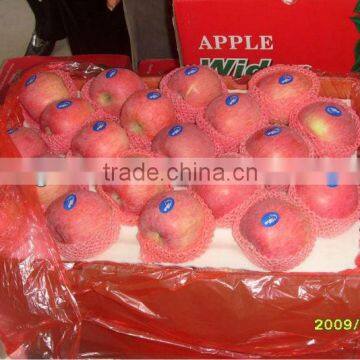 Fresh fuji Apple for export