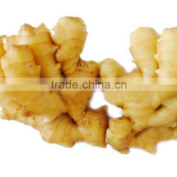 Chinese Fresh Ginger photo-5