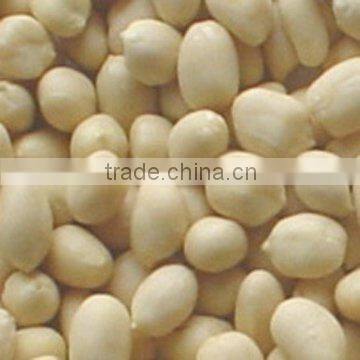 New crop high quality Blanched Peanut kernels price