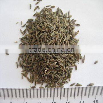 Herbs Products Chinese Black Cumin Seeds