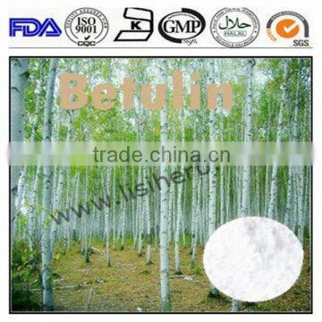 Birch Bark Extract Betulin(CAS:473-98-3)