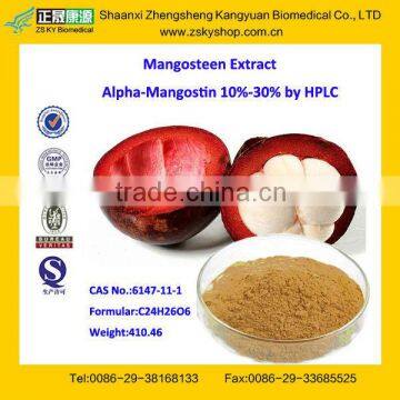 GMP Certified Manufacturer Supply High Quality Mangosteen Extract