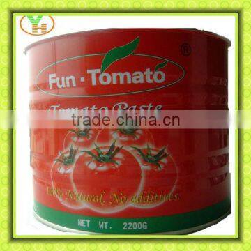 canned toamto paste,Tomato sauce, pizza sauce, fresh tomato