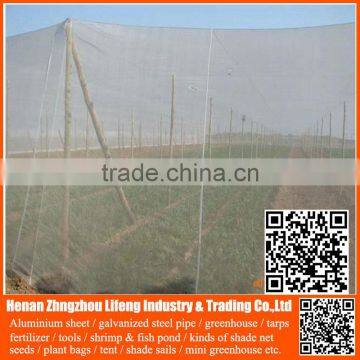New Arrival uv Hdpe Vegetable Insect Net , Nylon Fruit Anti Insect Net , Plastic Agricultural Greenhouse Anti Insect Proof Net