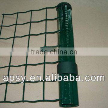 Holland electric welded wire mesh/manufacture /2013 hot sales