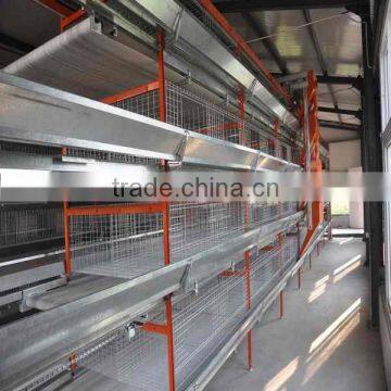 H Type Broiler Cage With Belt