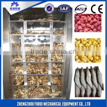 popular good quality blast freezer equipment/liquid nitrogen blast freezer