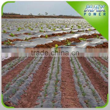 Biodegradable agricultural black ground cover