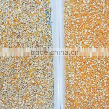 2017 New Version Maize Color Selecting Sorter in China photo-2