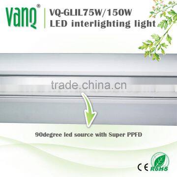 75w Bi-direction LED Grow Strawberry Hanging Light photo-2