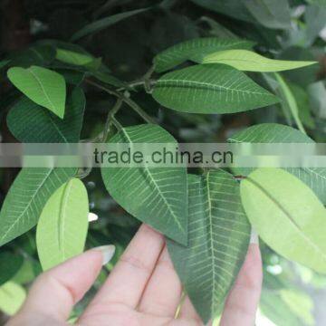 4M Artificial Ficus Tree With PE Leaves photo-2