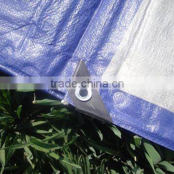 Blue Poly Tarp Hdpe Fabric photo-6