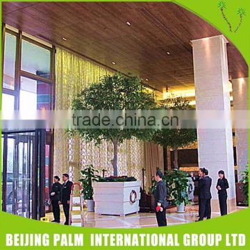 Good quality plastic mini banyan tree