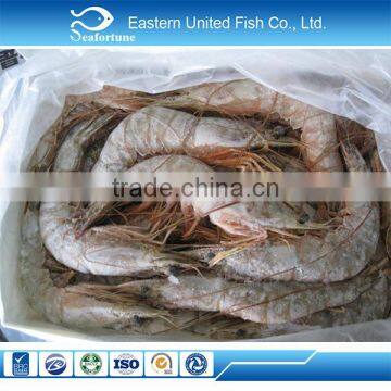 china seafood new season raw shrimp