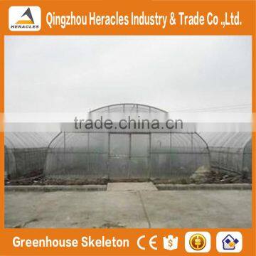 Heracles Trade Assurance Vegetable Seeds Greenhouse photo-6