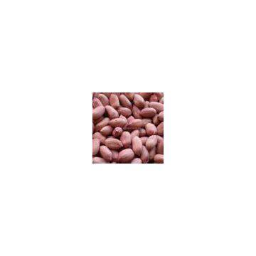 Greek peanuts kernels