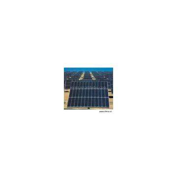 Sell Solar Module