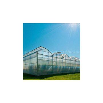 Mulch Film Cover Plant Cover Tree
