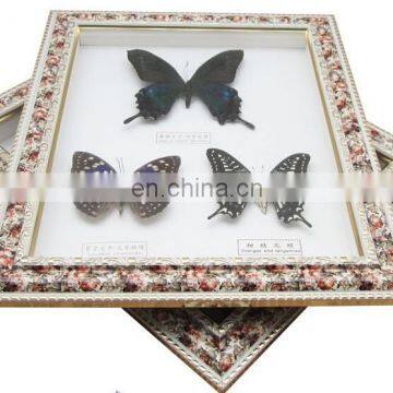 Wall Pedant Mural Butterfly Frame for Gifts photo-6