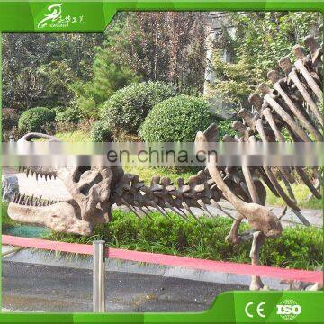 KAWAH Fiberglass Aniaml Replica Skull Popular Resin Life-size Skeleton Dinosaur Model For Sale photo-4