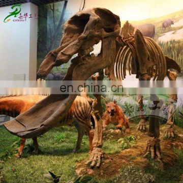 Museum quality prehistoric dinosaur skeleton model