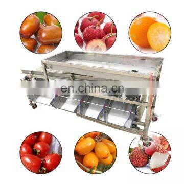 Cherry Tomato Washing Grading Machine/Fruit and Vegetable Processing Machine/strawberry Sorting Machine photo-7