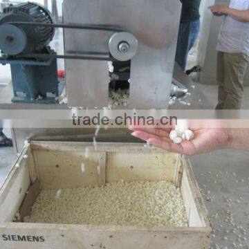 Denatured Starch Plant